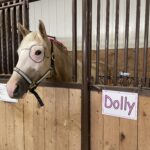 Dolly